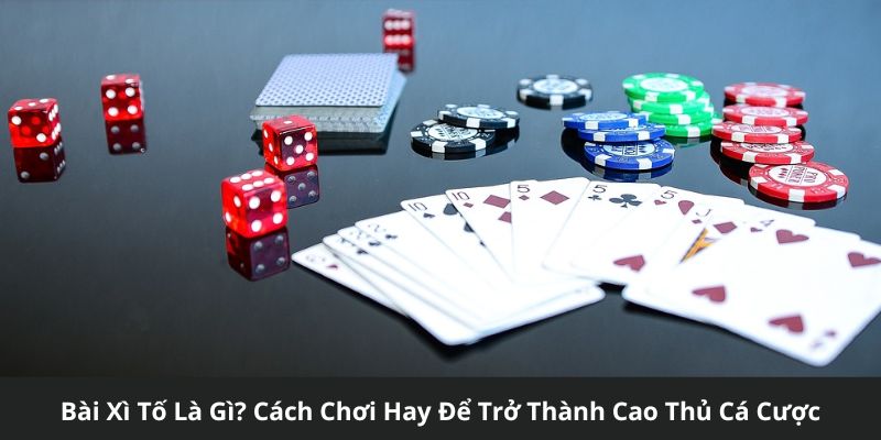 bài xì tố là gì thumb